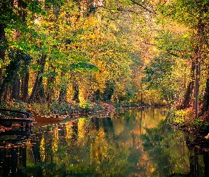 Staw, Łódka, Drzewa, Jesień