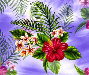 Kwiaty, Listki, Hibiskus, Plumeria, Grafika