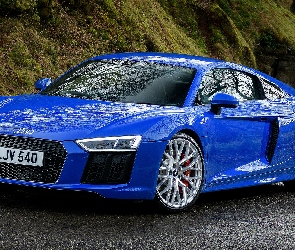 Niebieskie, Coupe, Audi R8