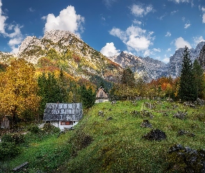 Słowenia, Dolina Trenta, Alpy Julijskie, Góry, Domy, Drzewa