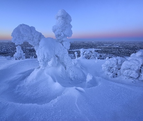 Drzewa, Wzgórze, Zima, Wschód słońca, Laponia, Mgła, Finlandia, Rezerwat Valtavaara