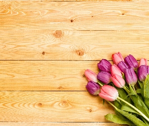 Tulipany, Deski, Bukiet
