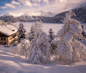 Szwajcaria, Sankt Moritz, Jezioro Sankt Moritz, Dolina Engadyna, Góry, Ośnieżone, Świerki, Dom, Zima, Zaśnieżone