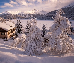 Szwajcaria, Ośnieżone, Zaśnieżone, Góry, Zima, Dom, Sankt Moritz, Jezioro Sankt Moritz, Dolina Engadyna, Świerki