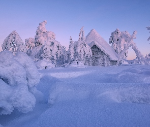 Zima, Finlandia, Dom, Laponia, Drzewa