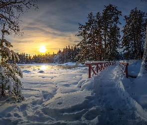 Rzeka Langinkoski, Las, Zima, Finlandia, Wschód słońca, Mostek, Kotka, Drzewa