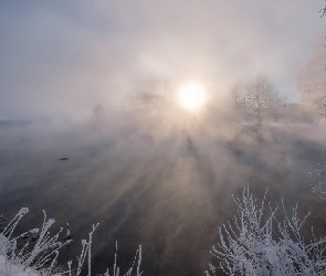 Mgła, Jezioro, Drzewa, Wschód słońca, Zima