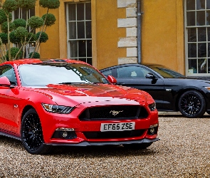 Czerwony, Ford Mustang, Czarny