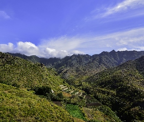 Góry Anaga, Hiszpania, Teneryfa, Wyspy Kanaryjskie, Pola