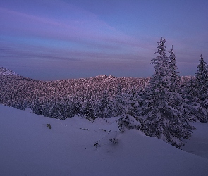 Wzgórza, Obwód czelabiński, Zmierzch, Rosja, Park Narodowy Taganaj, Zima, Góry, Skały, Drzewa