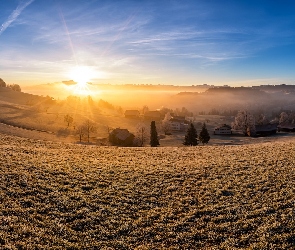 Gmina, Kanton St. Gallen, Wschód słońca, Szwajcaria, Mgła, Domy, Kirchberg in Tirol, Wzgórza, Drzewa