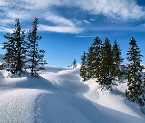 Zima, Zaspy śnieżne, Świerki, Góry, Drzewa, Śnieg