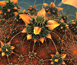 Kaktus, 3D, Kwiat