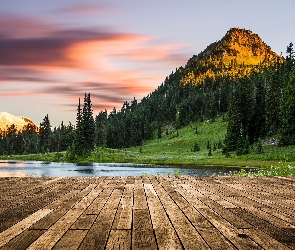 Jezioro Tipsoo, Park Narodowy Mount Rainier, Stany Zjednoczone, Drzewa, Góry, Stan Waszyngton, Las