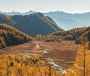 Prowincja Sondrio, Jesień, Góry, Włochy, Drzewa, Dolina Preda Rossa, Rzeka