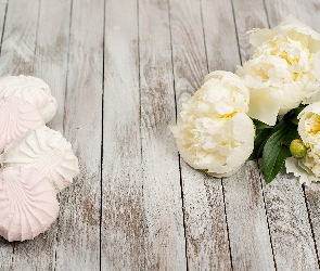 Piwonie, Bezy, Białe