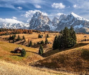 Drzewa, Domy, Góry Sassolungo, Włochy, Płaskowyż Seiser Alm, Dolina Val Gardena, Dolomity