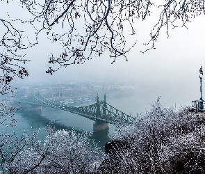 Rzeka Dunaj, Most Wolności, Węgry, Latarnia, Zima, Budapeszt, Gałęzie