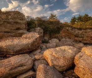 Trawa, Rośliny, Skała, Kamienie, Głazy, Drzewa