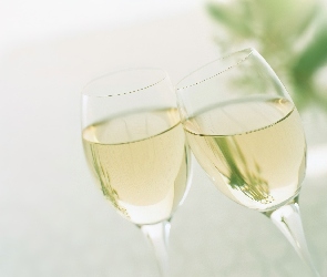 Wino