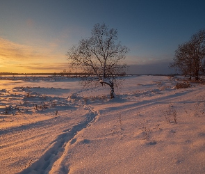 Śnieg, Zima, Zachód słońca, Drzewa