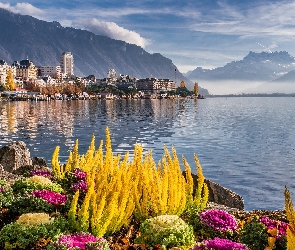 Montreux, Krajobraz, Rośliny, Szwajcaria, Góry, Jezioro Genewskie, Klomb