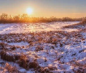 Krzewy, Trawa, Wschód słońca, Drzewa, Rzeka, Zima, Zaśnieżona