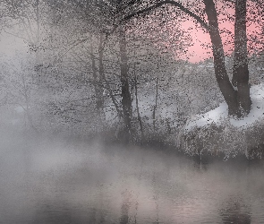 Rzeka, Zima, Mgła, Drzewa
