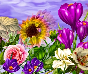 Słonecznik, Grafika, Róża, Krokus, Kwiaty
