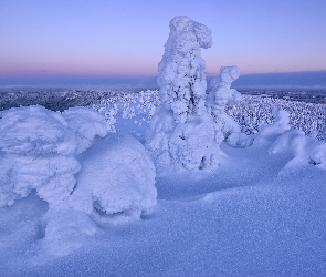 Zima, Zaśnieżone, Finlandia, Rezerwat Valtavaara, Laponia, Drzewa