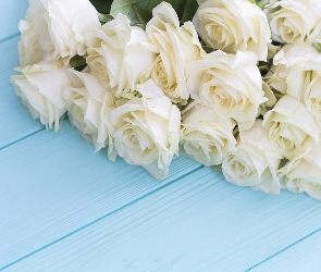 Róże, Deski, Białe