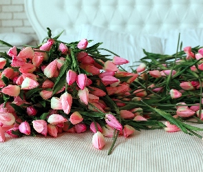 Kwiaty, Tulipany, Sztuczne