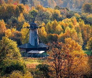 Wiatrak, Las, Jesień, Drzewa