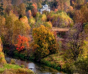 Las, Cerkiew, Drzewa, Rzeka, Jesień