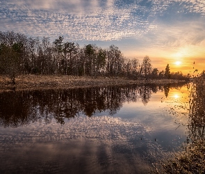 Odbicie, Wschód słońca, Drzewa, Rzeka, Szuwary, Chmury