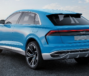 Niebieskie, Audi Q8
