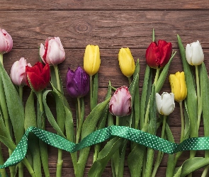 Deski, Wstążka, Kolorowe, Tulipany
