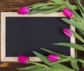 Tabliczka, Deski, Tulipany