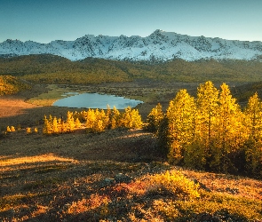 Jesień, Góry Północnoczujskie, Rosja, Jezioro Dzhangyskol, Ałtaj, Drzewa