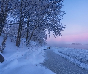 Rzeka, Drzewa, Ośnieżone, Mgła, Zima
