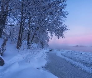 Zima, Drzewa, Mgła, Ośnieżone, Rzeka