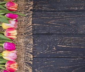 Serwetka, Deski, Tulipany