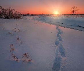 Śnieg, Zima, Rzeka, Promienie słońca, Drzewa, Zaśnieżona, Ślady