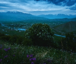 Wiosna, Rzeka Naryn, Łąki, Góry, Drzewa, Kirgistan
