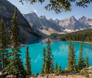 Alberta, Kanada, Góry, Jezioro Moraine, Las, Drzewa, Park Narodowy Banff