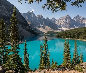 Drzewa, Las, Alberta, Góry, Jezioro Moraine, Kanada, Park Narodowy Banff