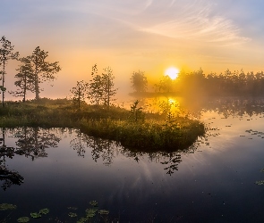 Jezioro, Wschód słońca, Mgła, Drzewa