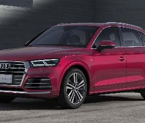 Audi Q5, Czerwone