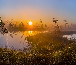 Jezioro, Zachód słońca, Trawa, Mgła, Drzewa