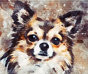 Chihuahua, Grafika, Pies